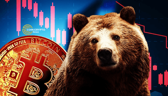 Is Bitcoin Heading for a Bear Market? Key Metric Raises Concern