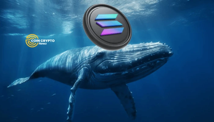 Solana Whales Bet Big on Bearish Options Ahead of Major Token Unlock