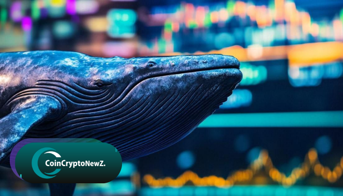ZachXBT Exposes William Parker ZachXBT Exposes William Parker: The $20M Hyperliquid Whale Linked to Illicit Funds