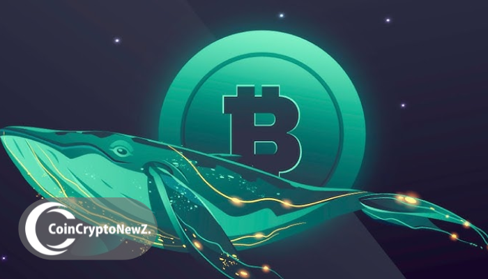 PumpFun Sends $324M in SOL to Kraken as Solana Whale Wallets Surge Past 5,000 PumpFun Sends $324M in SOL to Kraken as Solana Whale Wallets Surge Past 5,000