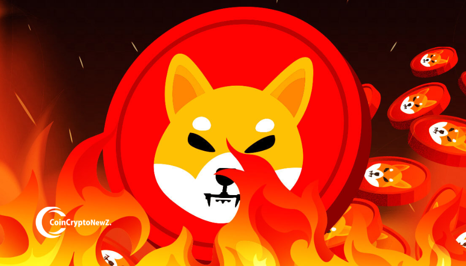 Shiba Inu Burn Rate Spikes as 6.2B Tokens Shake Up Binance