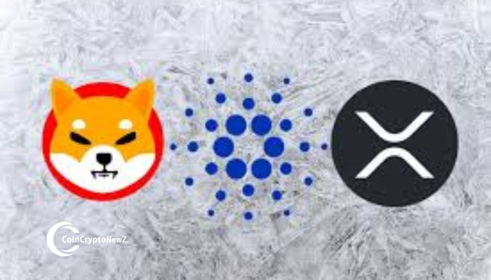 Top Trending Cryptocurrencies in May 2025 XRP, Cardano, and Shiba Inu Lead the Conversation Top Trending Cryptocurrencies in May 2025 XRP, Cardano, and Shiba Inu Lead the Conversation