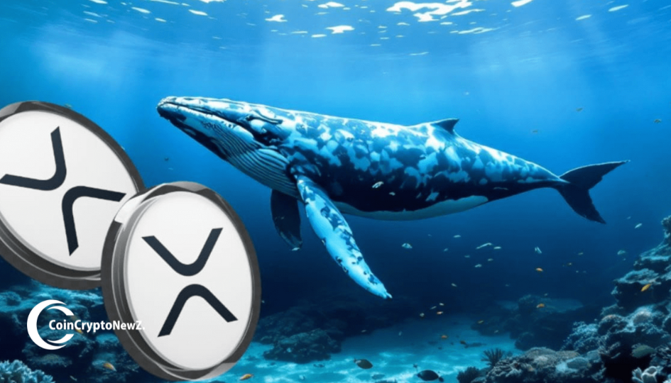 Whales Buy 900M XRP as Ripple Ups Circle Bid to $20 Billion Whales Buy 900M XRP as Ripple Ups Circle Bid to $20 Billion