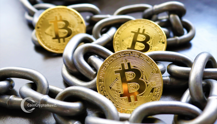 Bitcoin Whales Signal Confidence with Massive Accumulation in June 2025