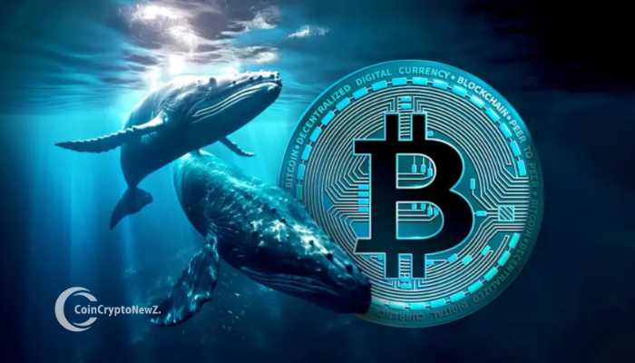 Bitcoin Whales and Sharks Surge: A Bullish Signal for BTC?