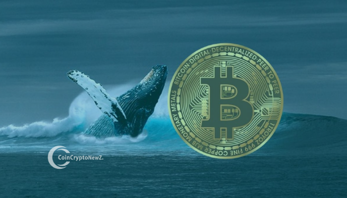 Bitcoin Whales Stir Market as 31,967 BTC Moves Signal Potential Top