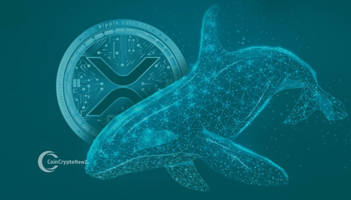 Whale Frenzy 900 Million $XRP Scooped Up in 48 Hours Signals Potential Surge