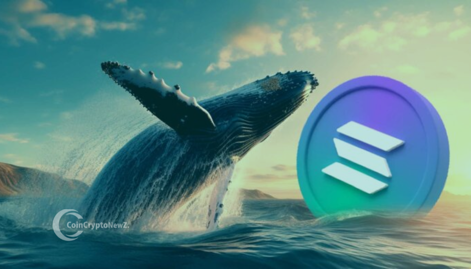Whale Moves Shake Solana 108,016 SOL Deposited in 8 Hours