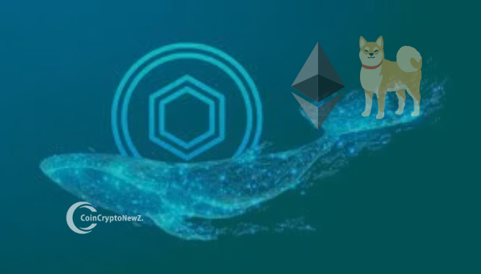 Whale’s $21.25M Chainlink Bet Signals Potential Bull Run