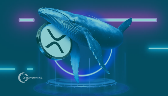 XRP Faces Distribution Pressure as Whale Flows Turn Negative
