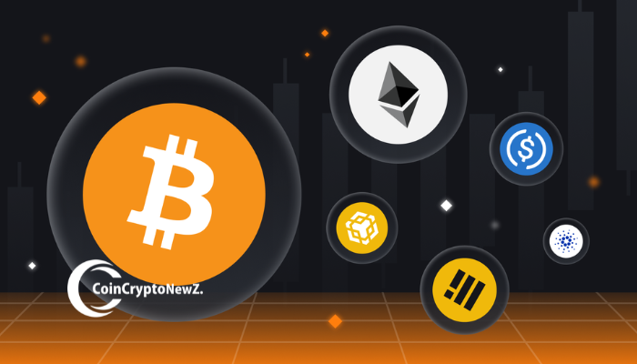Altcoin Market Cap Retest Signals Key Moment