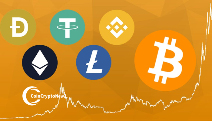 Decoding the Crypto Market Trends