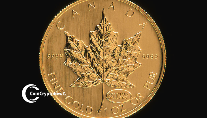 Maple Finance TVL Soars 8.5x in 2025 DeFi Boom