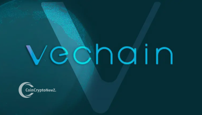 VeChain's Bubble Risk Navigating the Peaks and the Renaissance Upgrade