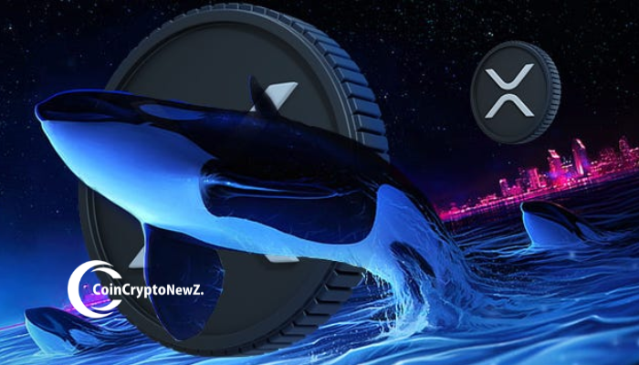 XRP Whales Signal Bullish Moves Amid Price Dip