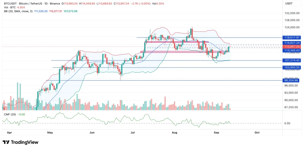 Bitcoin Sharks Boost Holdings by 65,000 BTC, Targeting $120K Price Surge 2 image 273