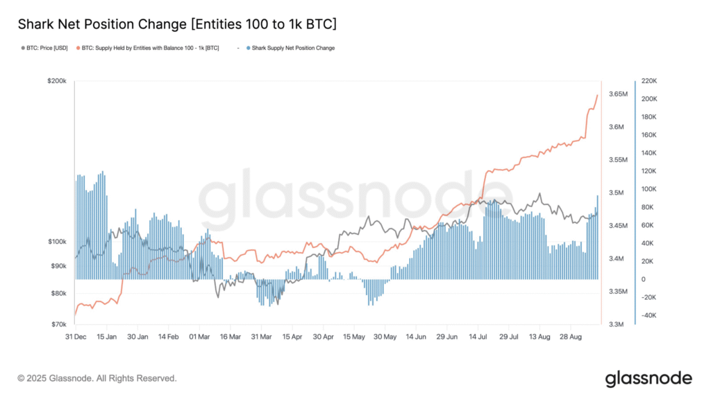 Bitcoin Sharks Boost Holdings by 65,000 BTC, Targeting $120K Price Surge 1 image 274
