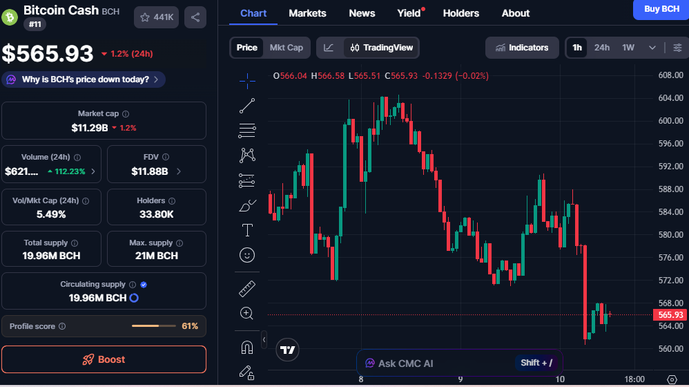 Bitcoin Cash Shows Resilience Amid Market Fluctuations: A Strong Future Ahead 1 image 108