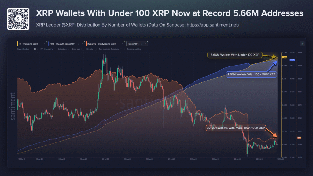 XRP Ledger Growth Surges as Retail Wallets Hit Record High 1 image 50