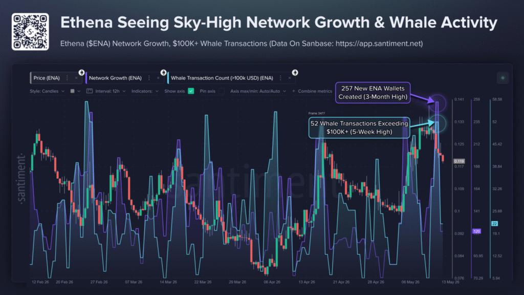 Ethena Network Growth Rises as ENA Whales Accumulate 1 image 13