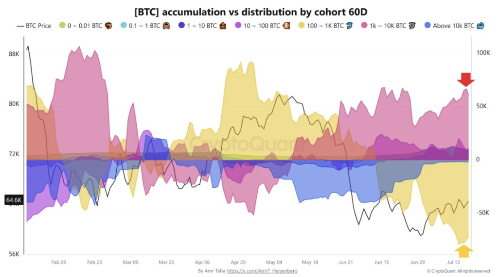 Bitcoin Whale Accumulation Hits 66,700 BTC as Selling Rises 1 image 17