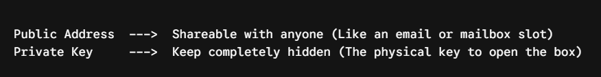Public Address and Private key