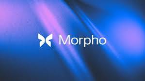Morpho Raises $175M Backed by Paradigm and a16z Crypto